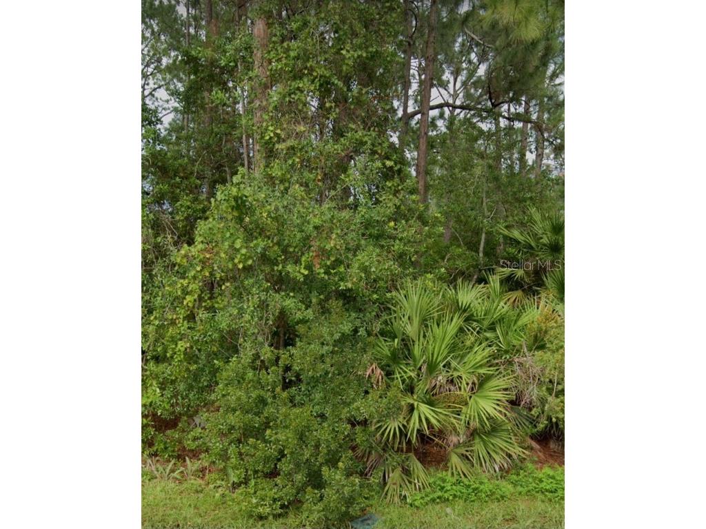 19 Bunker View Drive Palm Coast FL 32137 FC293344 image1