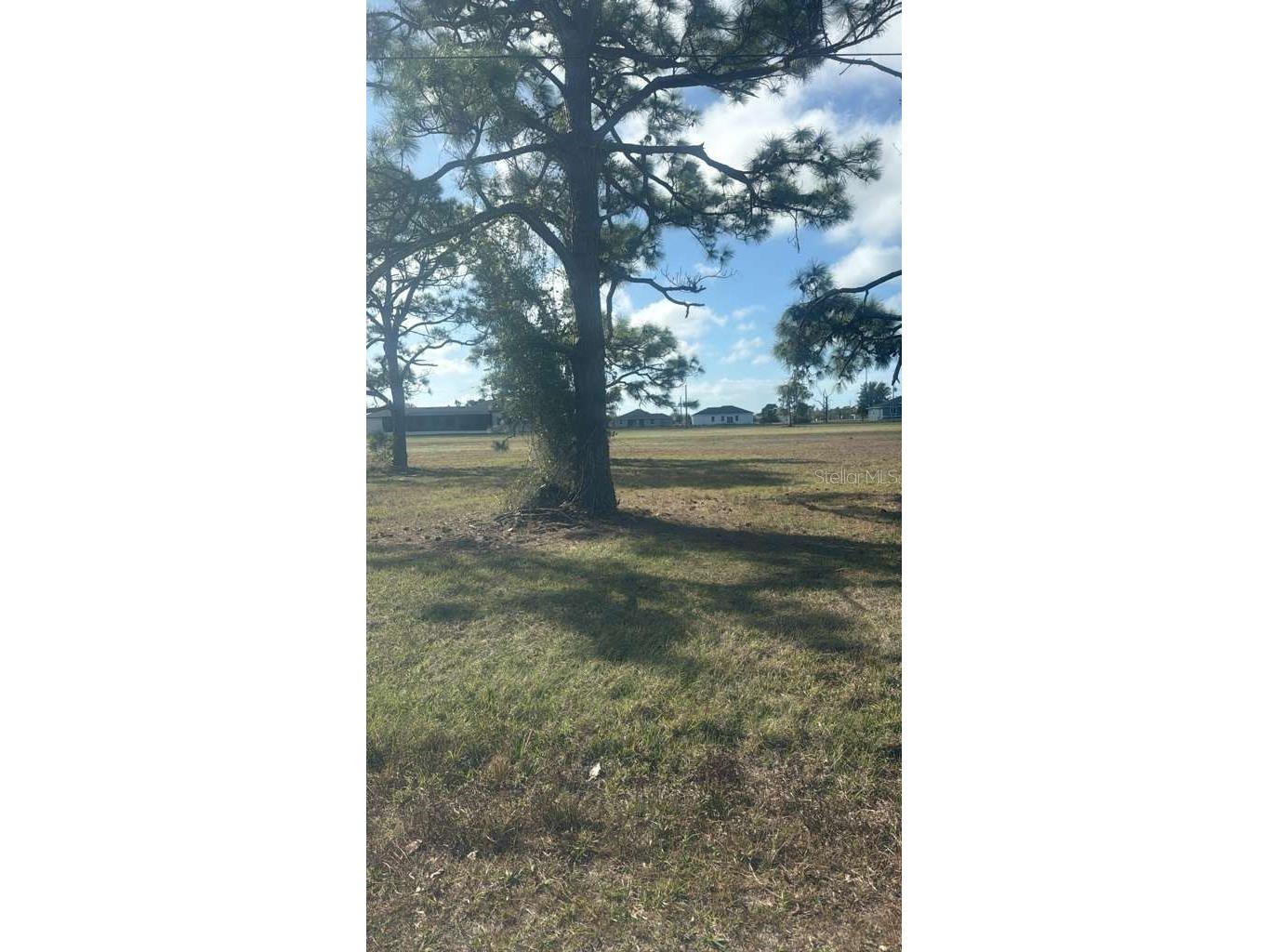 19 Carline Lane Placida FL 33946 O6391491 image1