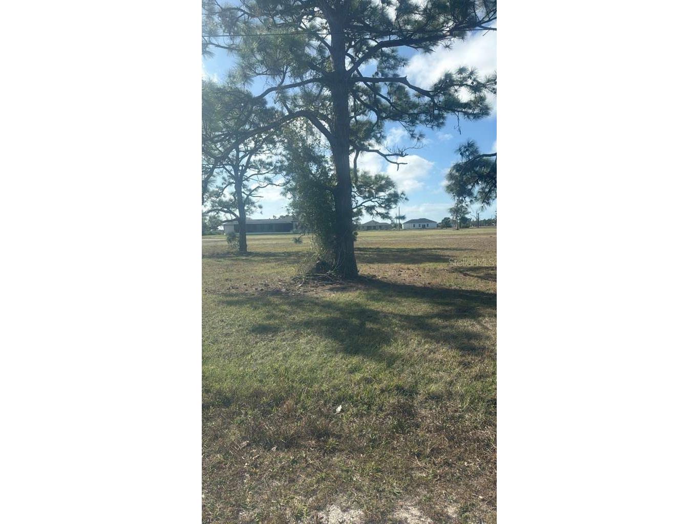 19 Carline Lane Placida FL 33946 O6391491 image2