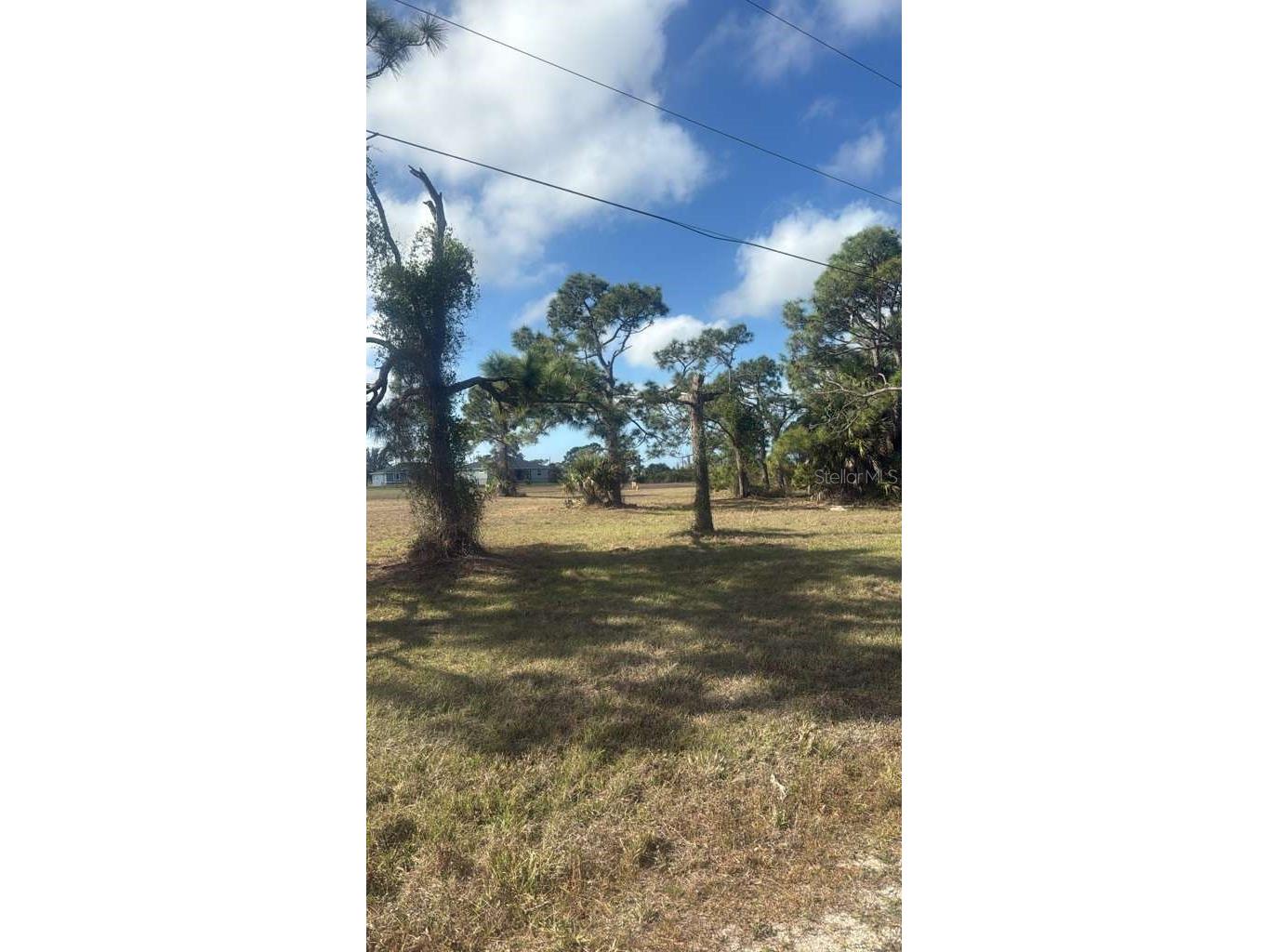 19 Carline Lane Placida FL 33946 O6391491 image3