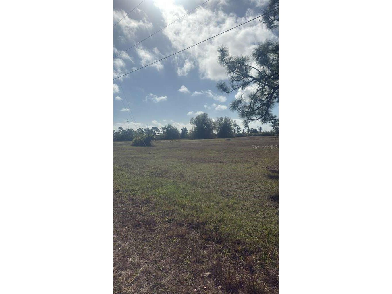 19 Carline Lane Placida FL 33946 O6391491 image4