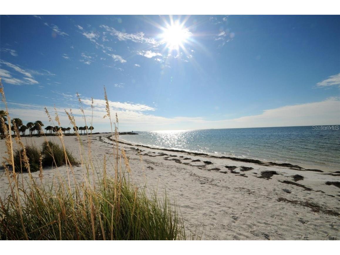 19 Drury Lane Tarpon Springs FL 34689 TB8355393 image59