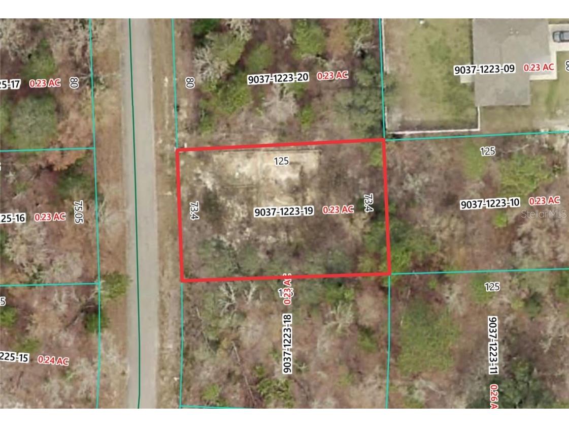 19 Fisher Lane Track Ocklawaha FL 32179 O6368729 image1