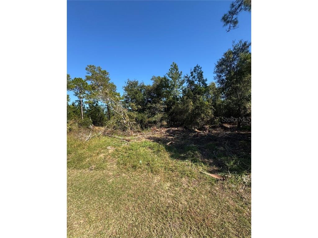 19 Freeport Lane Palm Coast FL 32137 FC314236 image1