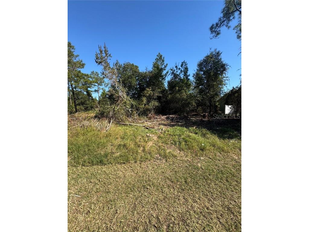 19 Freeport Lane Palm Coast FL 32137 FC314236 image2