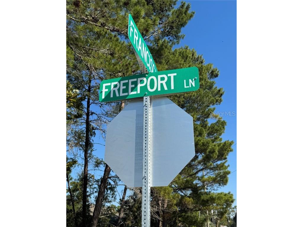 19 Freeport Lane Palm Coast FL 32137 FC314236 image8