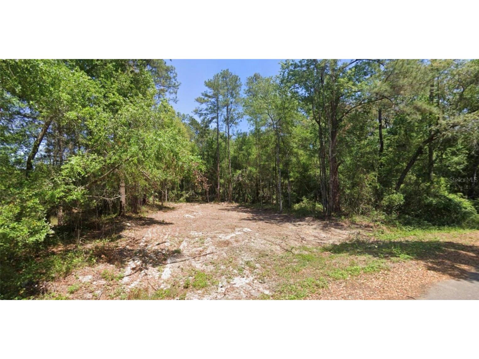 19 Guava Pass Lane Ocklawaha FL 32179 OM712424 image1