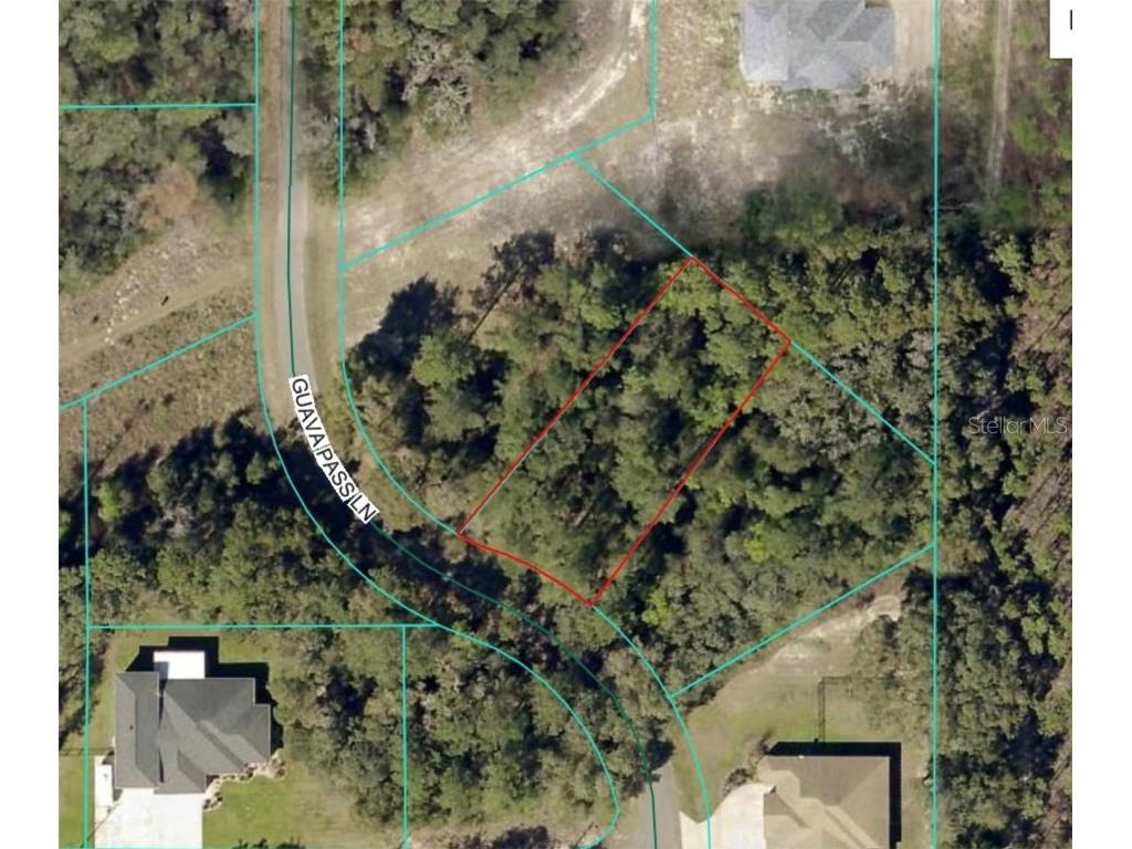 19 Guava Pass Lane Ocklawaha FL 32179 OM712424 image3