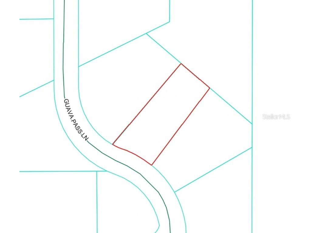 19 Guava Pass Lane Ocklawaha FL 32179 OM712424 image4