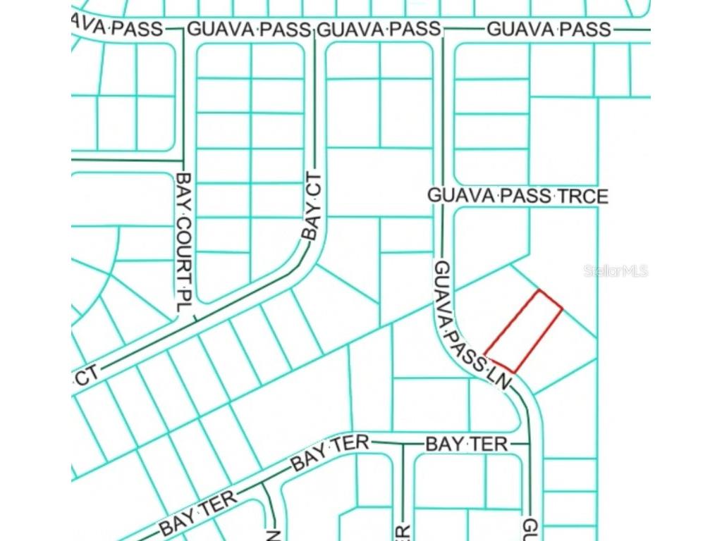 19 Guava Pass Lane Ocklawaha FL 32179 OM712424 image5