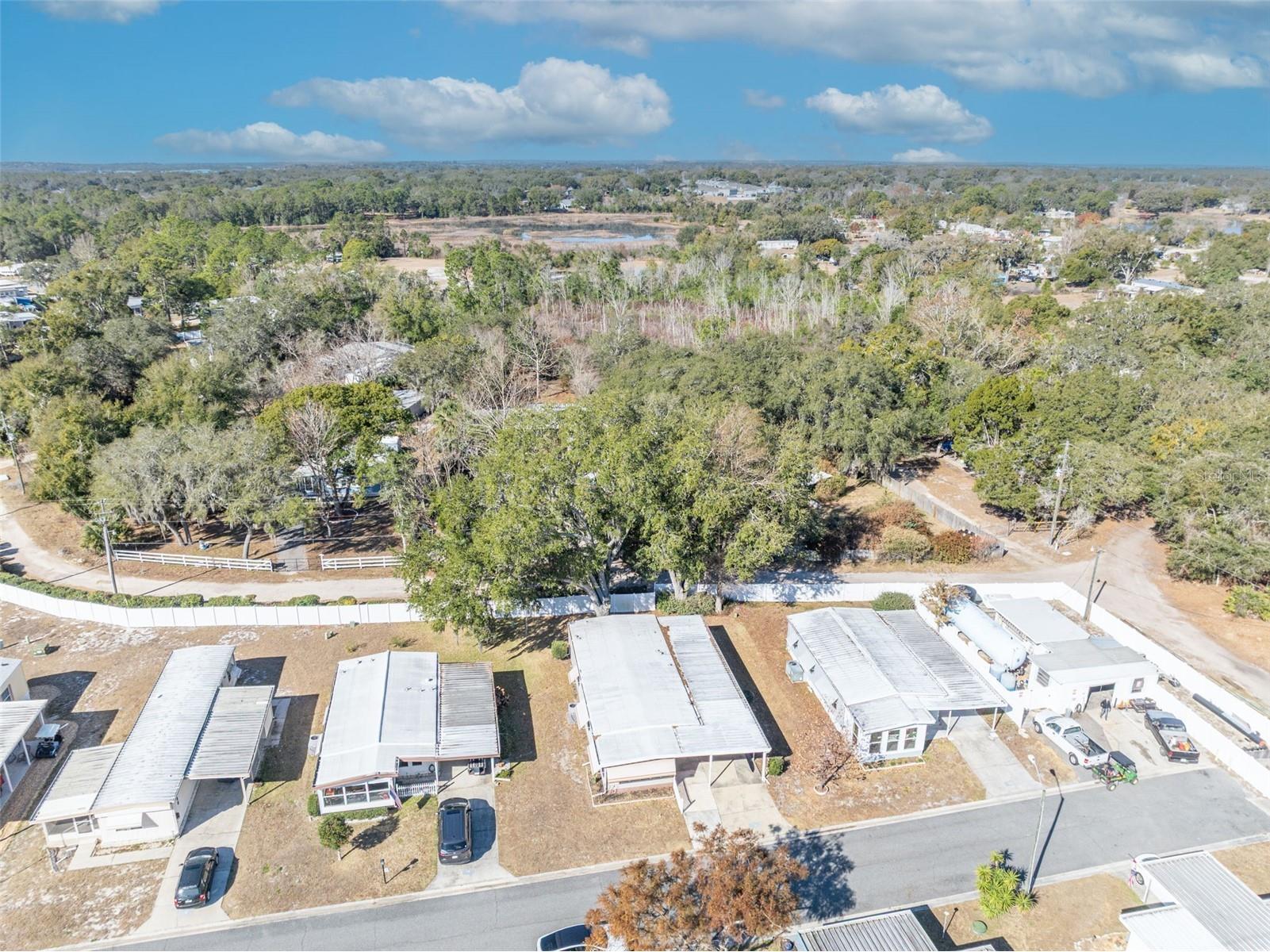 19 Hawaiian Way Leesburg FL 34788 G5108056 image41
