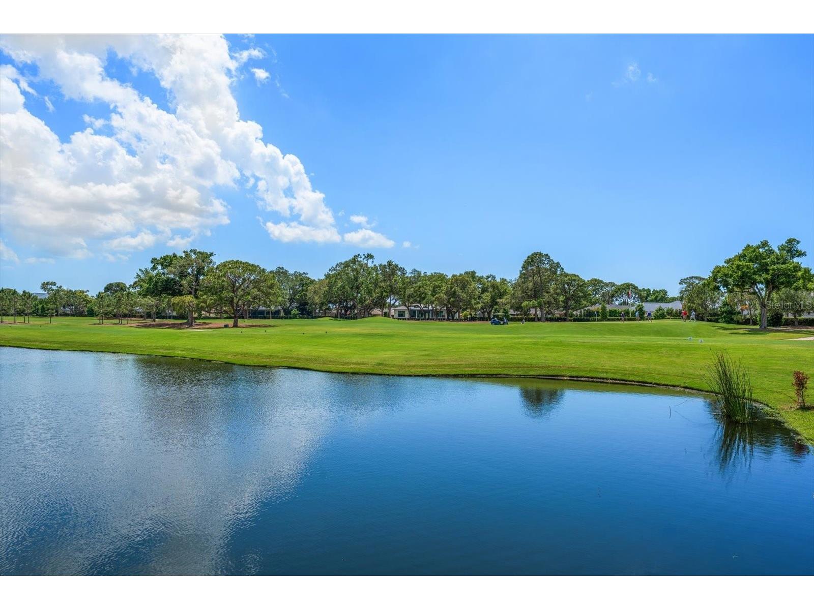 19 Hibiscus Road Belleair FL 33756 TB8505418 image5