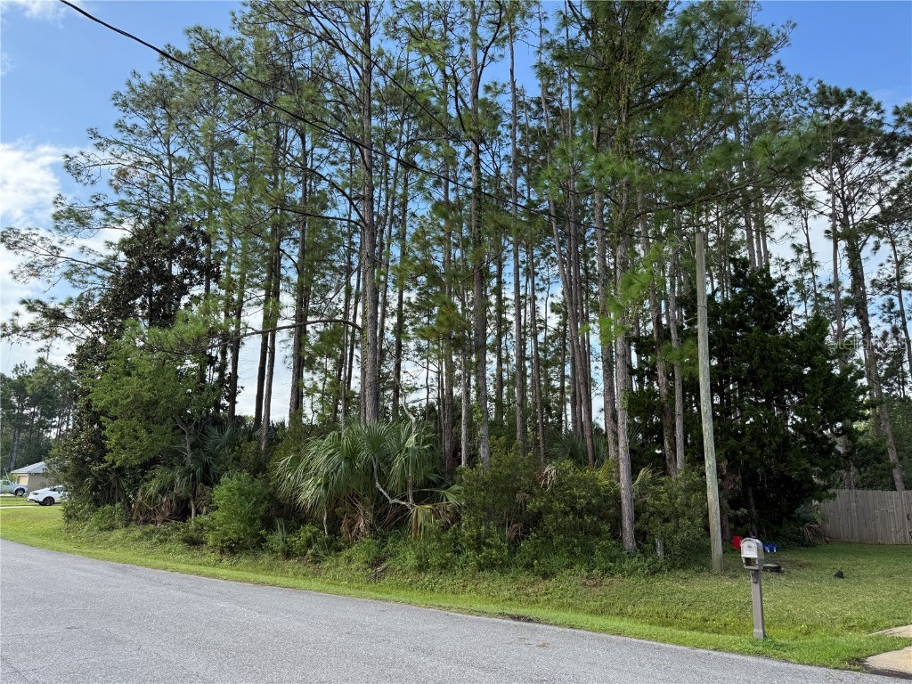 19 Lindberg Lane Palm Coast FL 32137 FC313085 image3