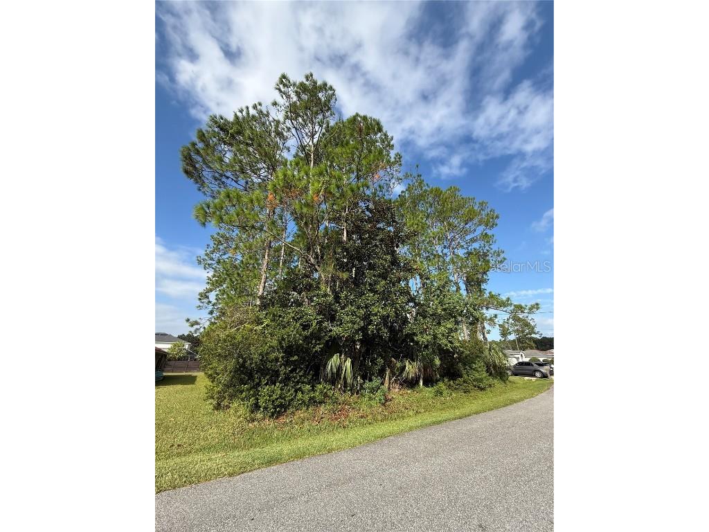 19 Lindberg Lane Palm Coast FL 32137 FC313085 image4