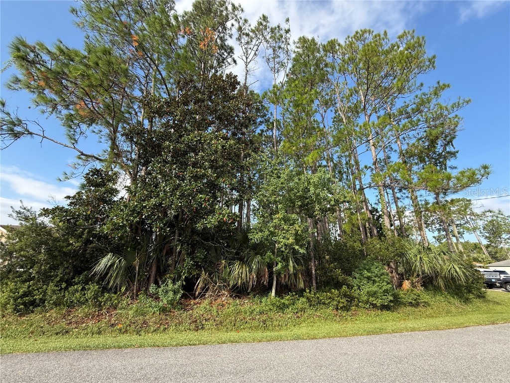 19 Lindberg Lane Palm Coast FL 32137 FC313085 image5