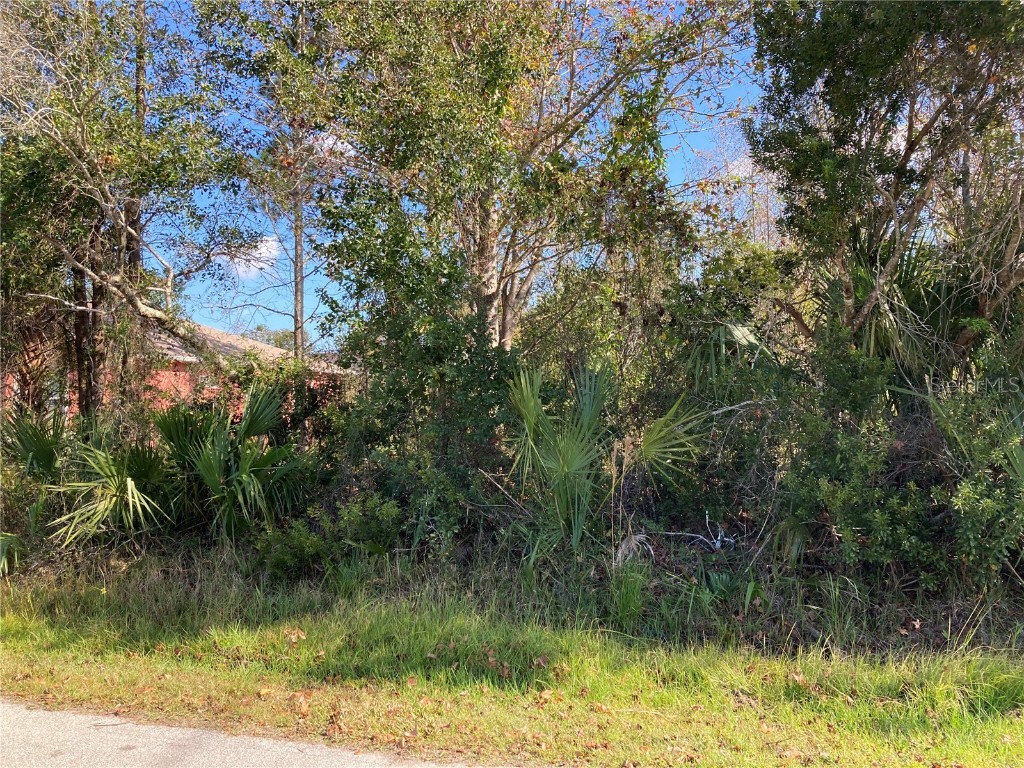 19 Long Place Palm Coast FL 32137 FC287860 image1