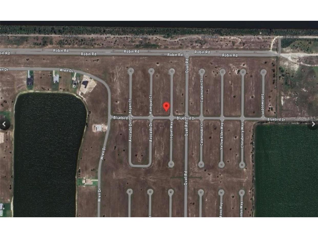 19 Loquat Way Placida FL 33946 O6335341 image1