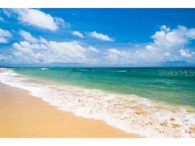 19 Mahoe Drive N Palm Coast FL 32137 - ATLANTIC OCEAN FC317076 image30