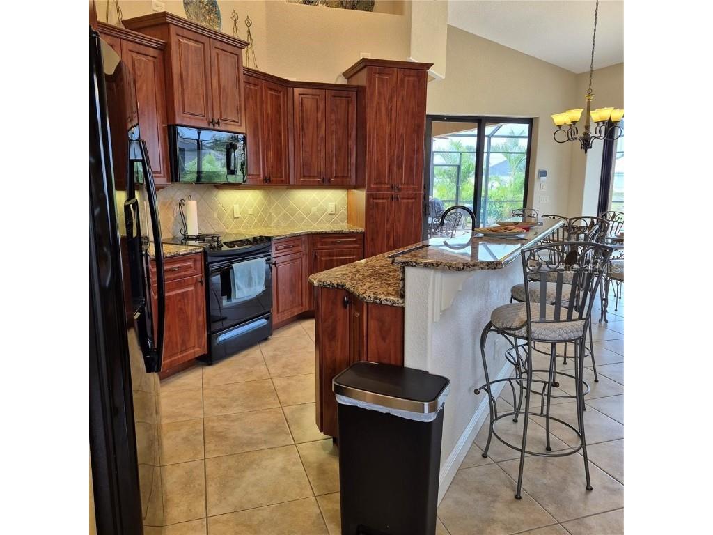 19 Medalist Way Rotonda West FL 33947 D6143286 image9