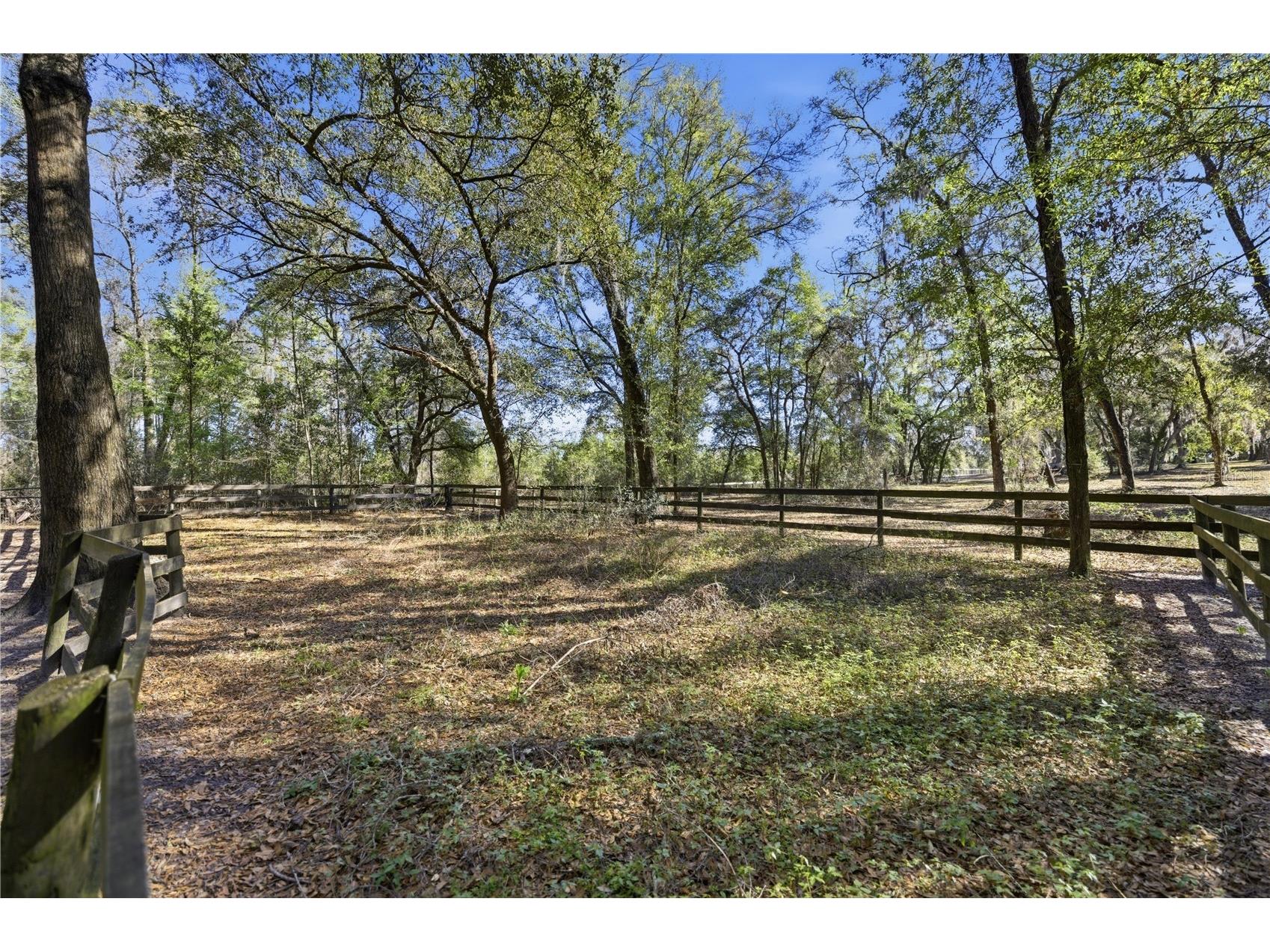 19 Northern Dancer Drive Ocala FL 34482 O6386958 image32