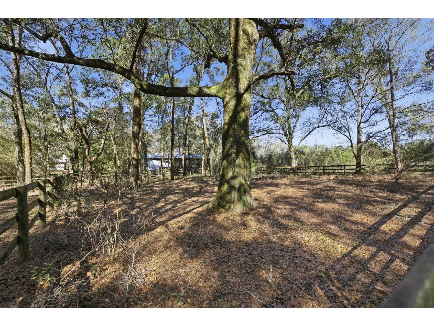 19 Northern Dancer Drive Ocala FL 34482 O6386958 image33