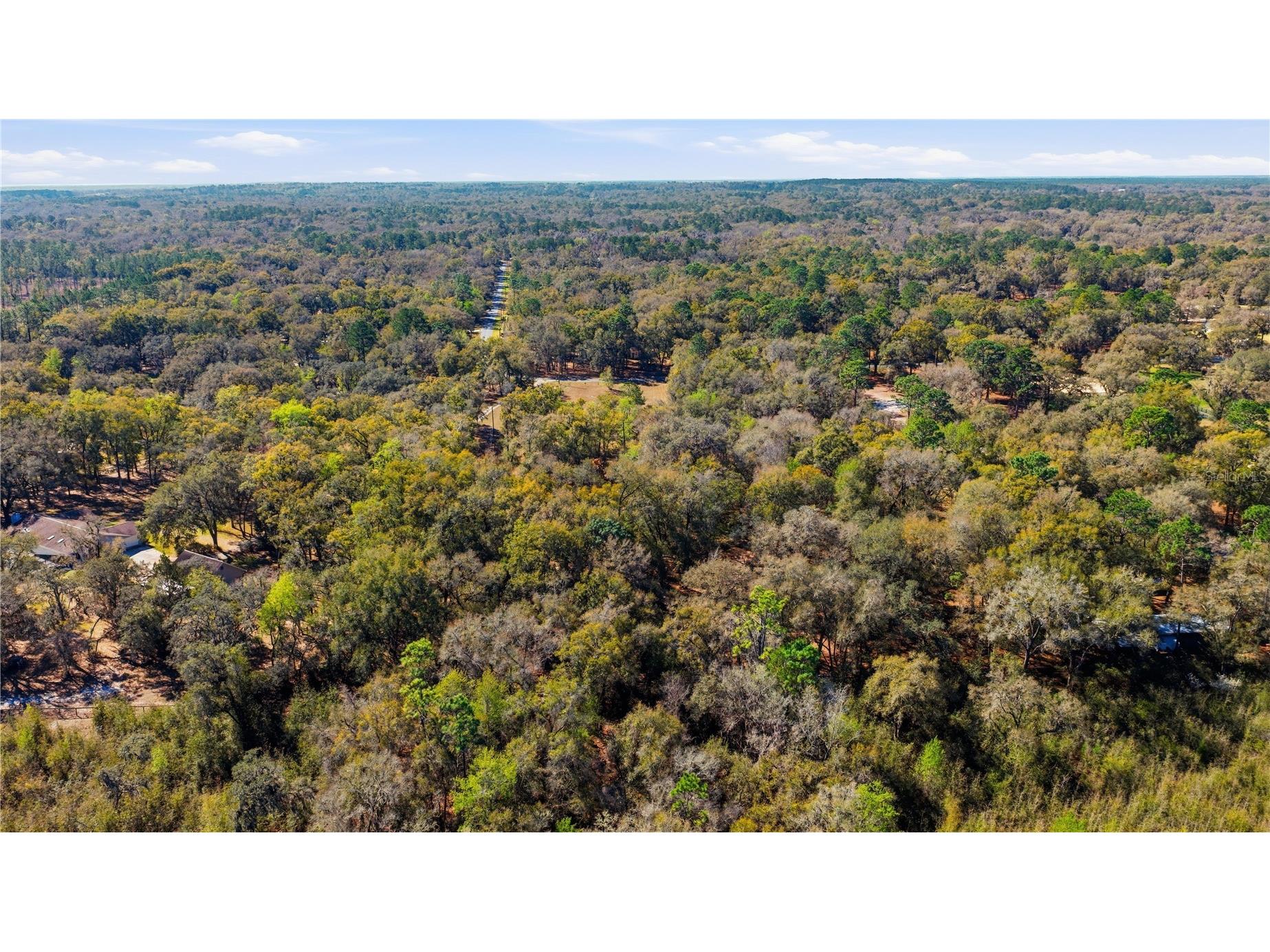 19 Northern Dancer Drive Ocala FL 34482 O6386958 image43