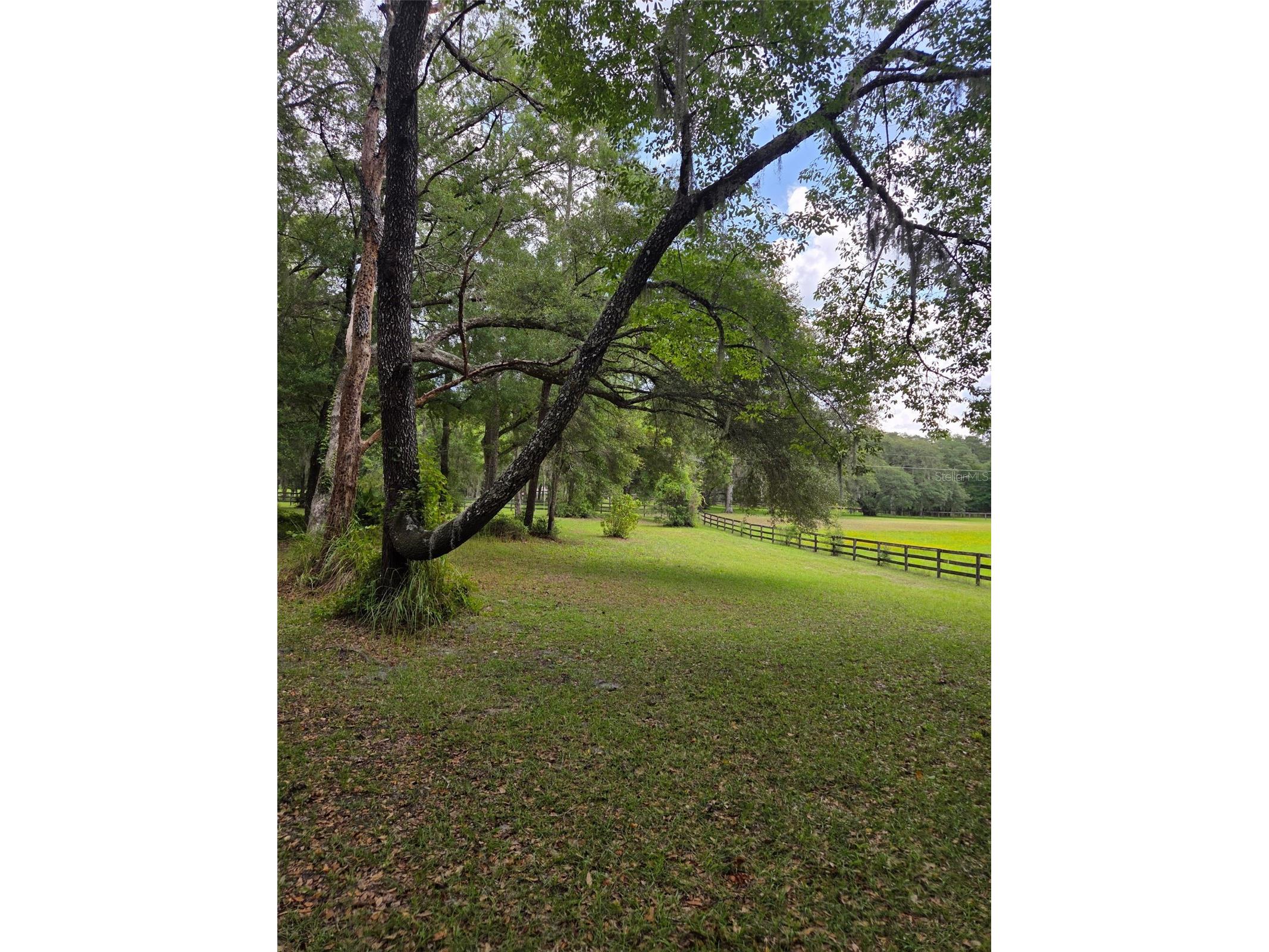 19 Northern Dancer Drive Ocala FL 34482 O6386958 image55