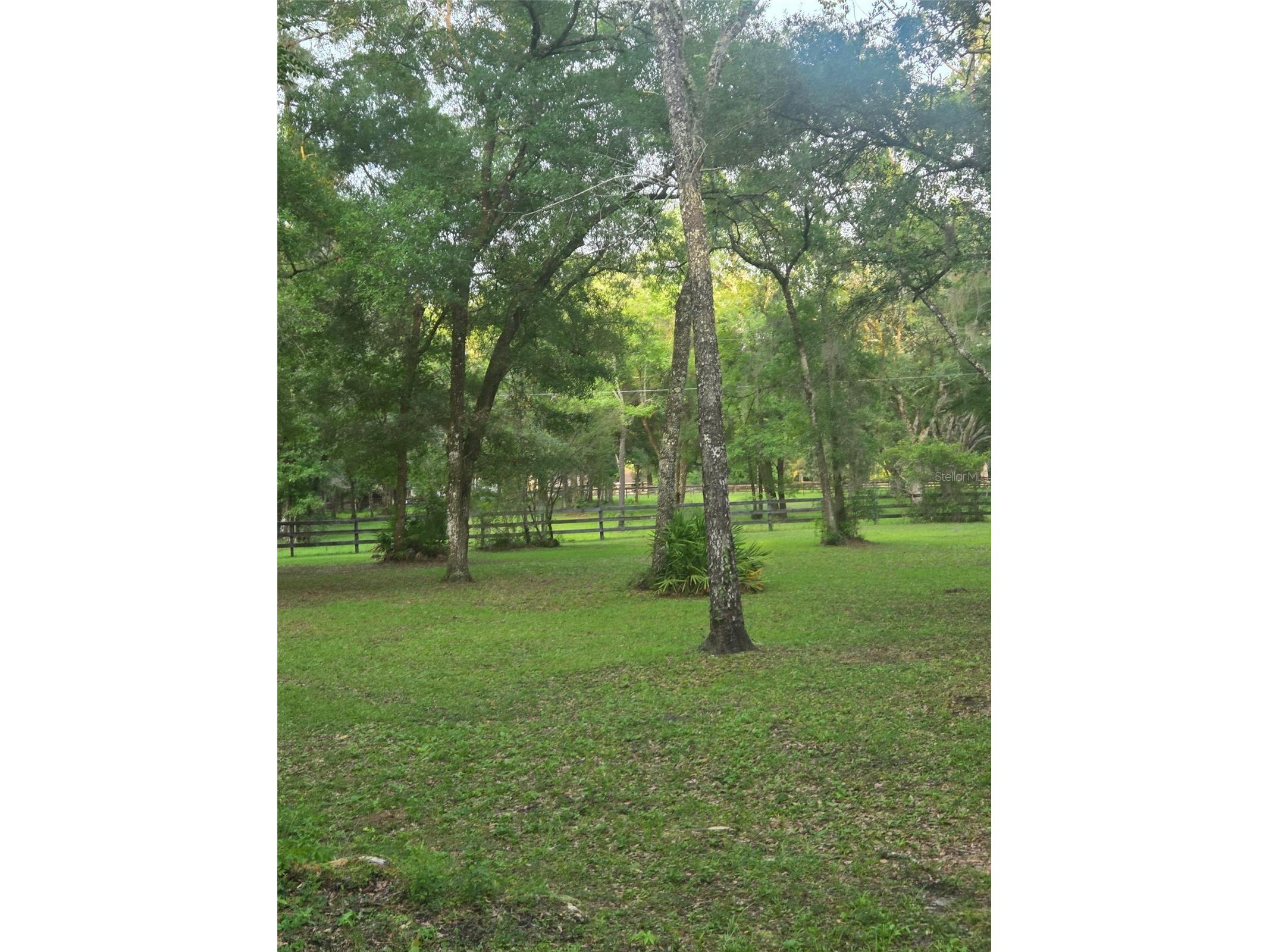 19 Northern Dancer Drive Ocala FL 34482 O6386958 image56