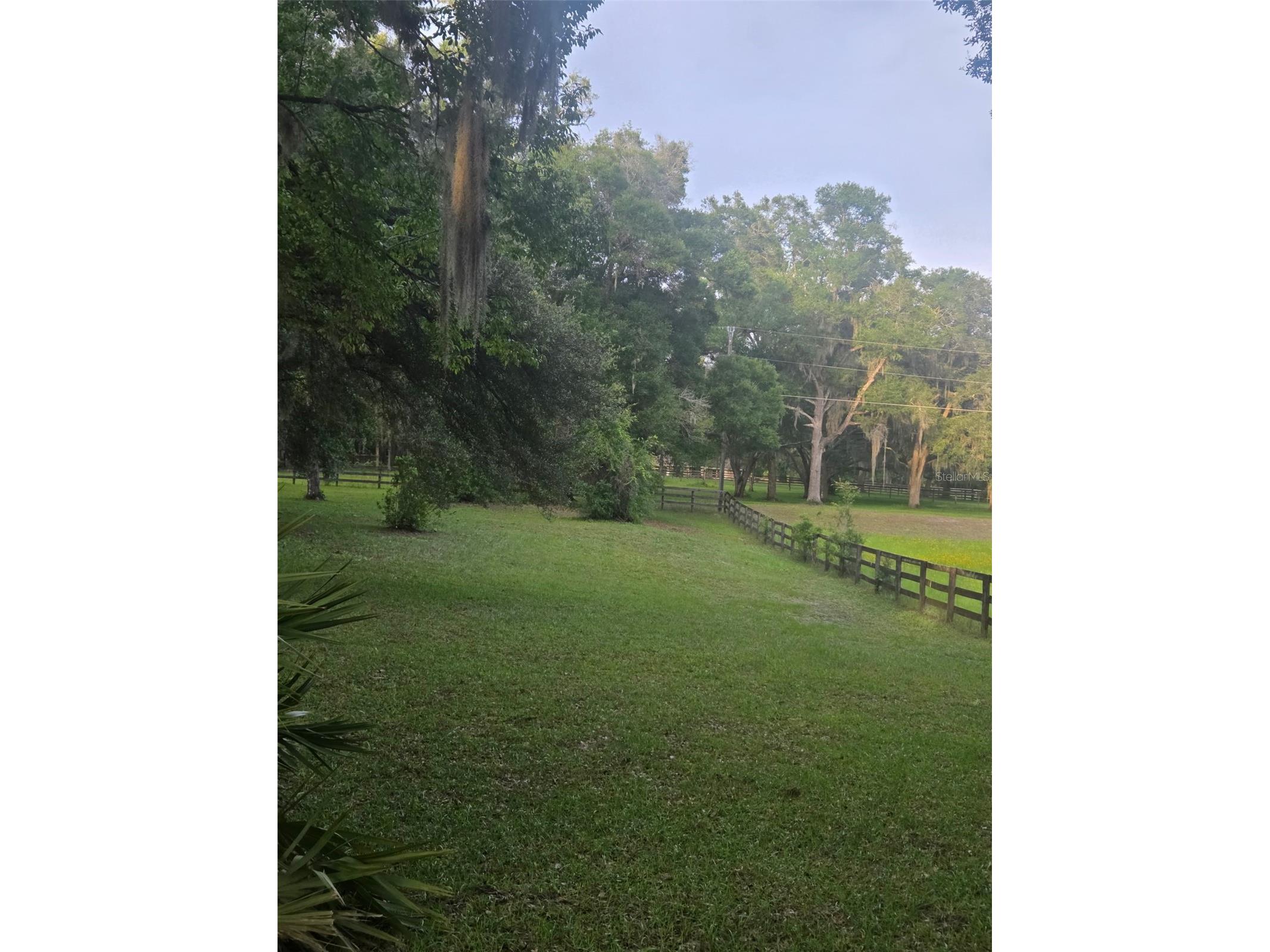 19 Northern Dancer Drive Ocala FL 34482 O6386958 image57
