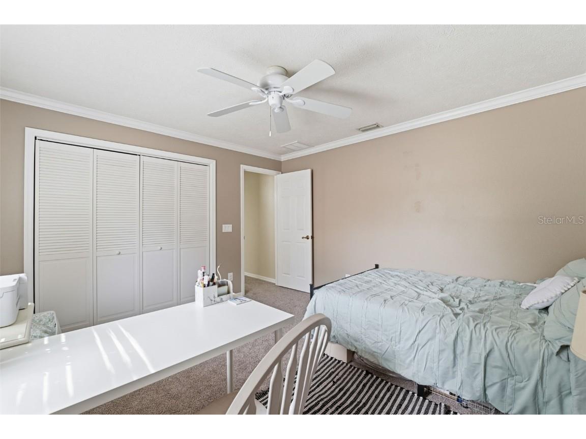19 Poplar Court S Homosassa FL 34446 TB8454317 image25