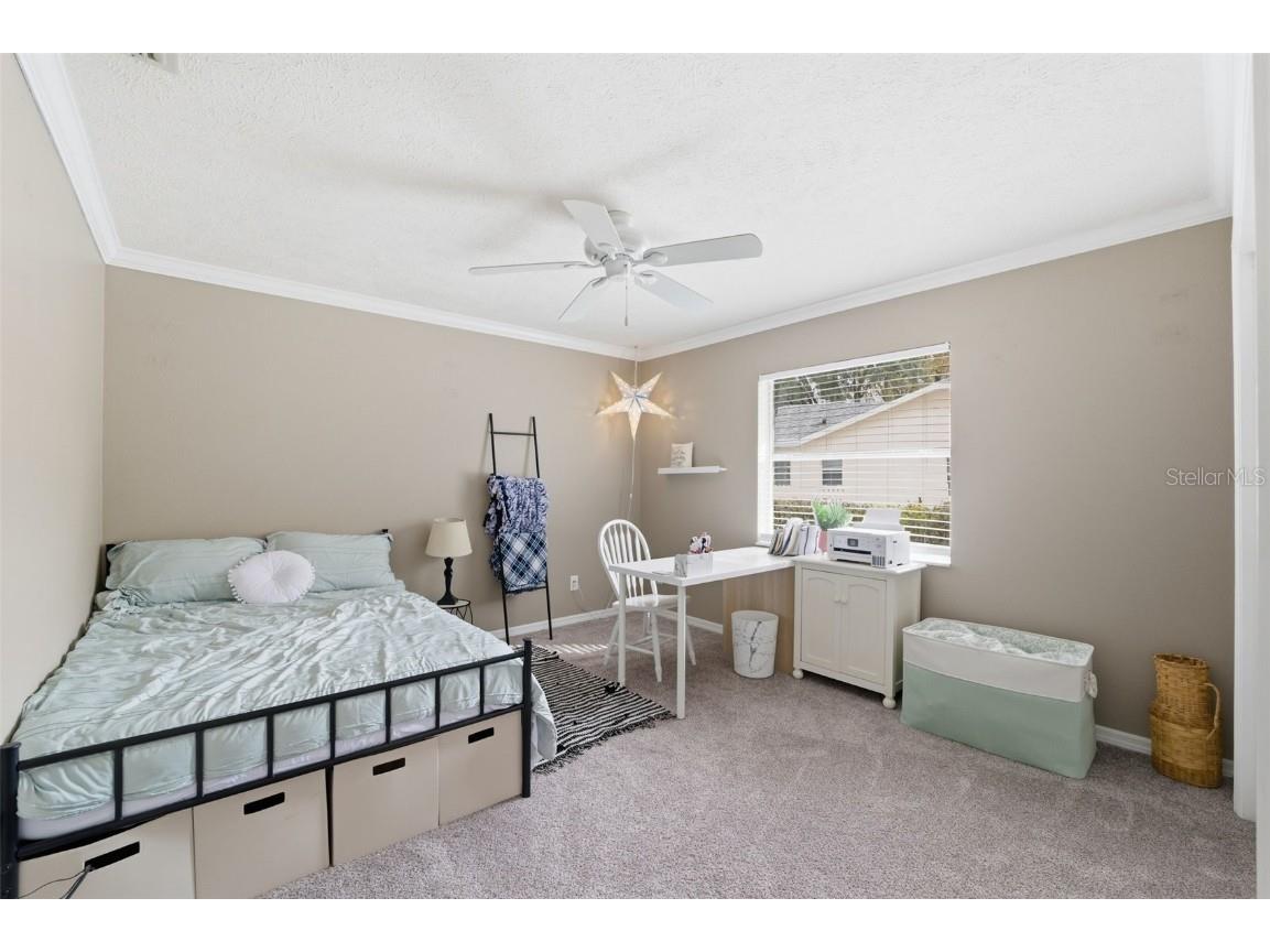 19 Poplar Court S Homosassa FL 34446 TB8454317 image26
