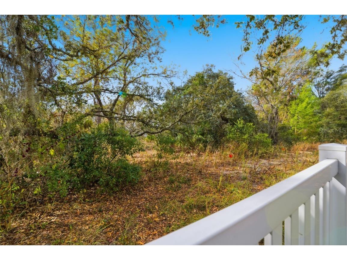 19 Poplar Court S Homosassa FL 34446 TB8454317 image41