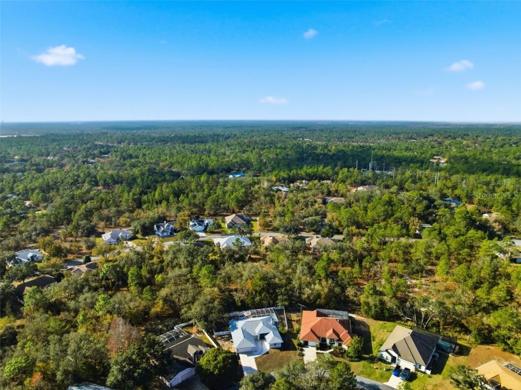 19 Poplar Court S Homosassa FL 34446 TB8454317 image51