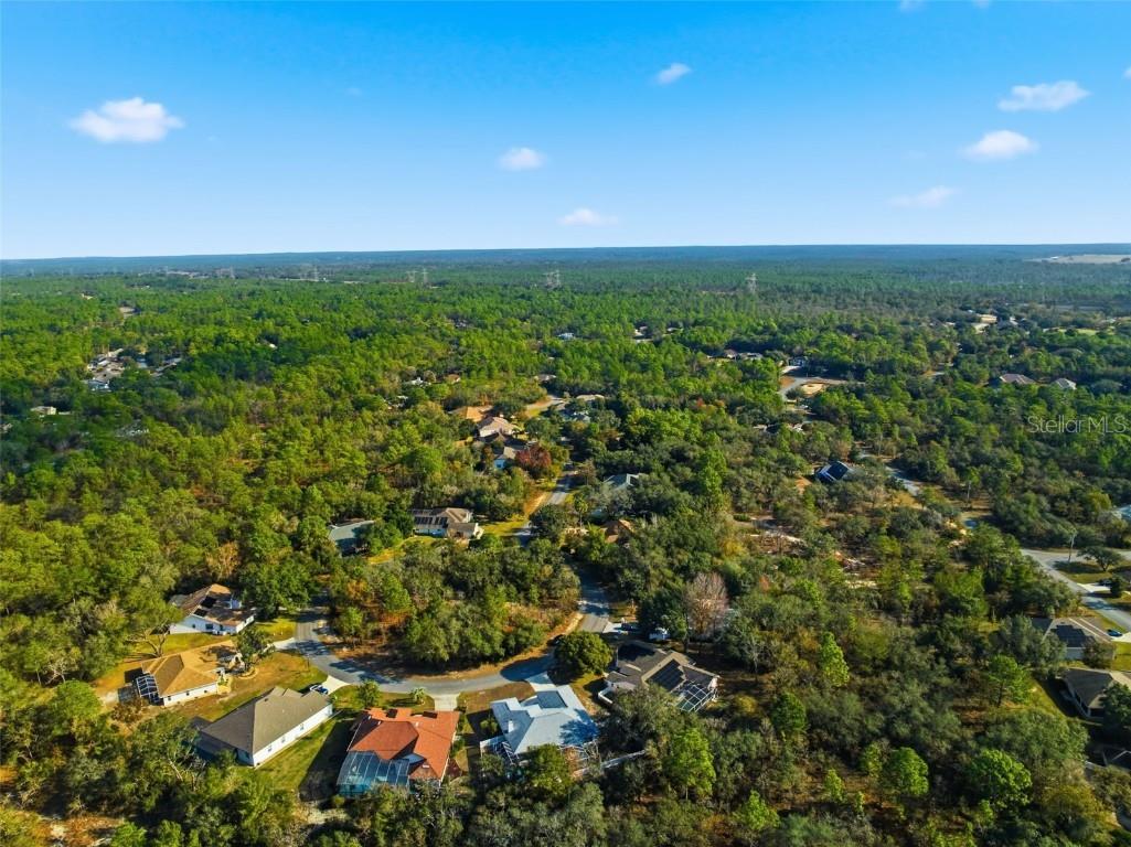 19 Poplar Court S Homosassa FL 34446 TB8454317 image52