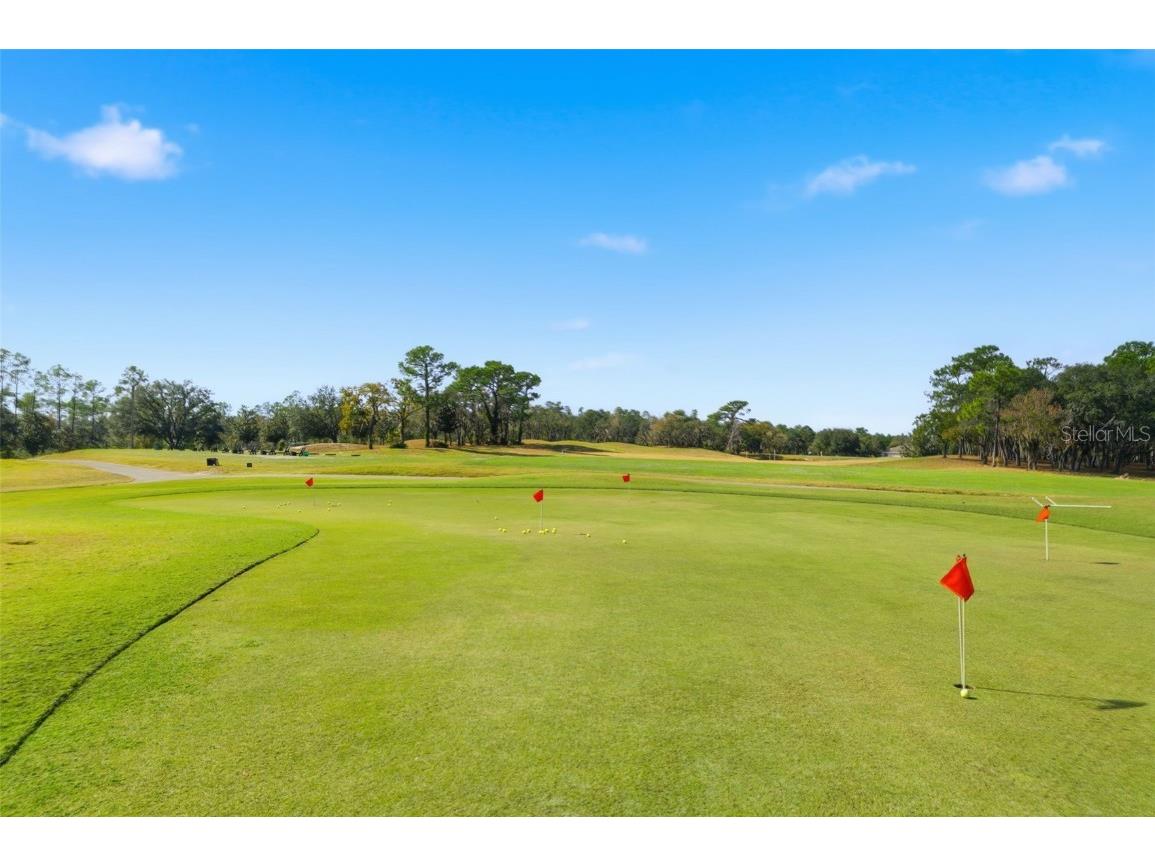 19 Poplar Court S Homosassa FL 34446 TB8454317 image60