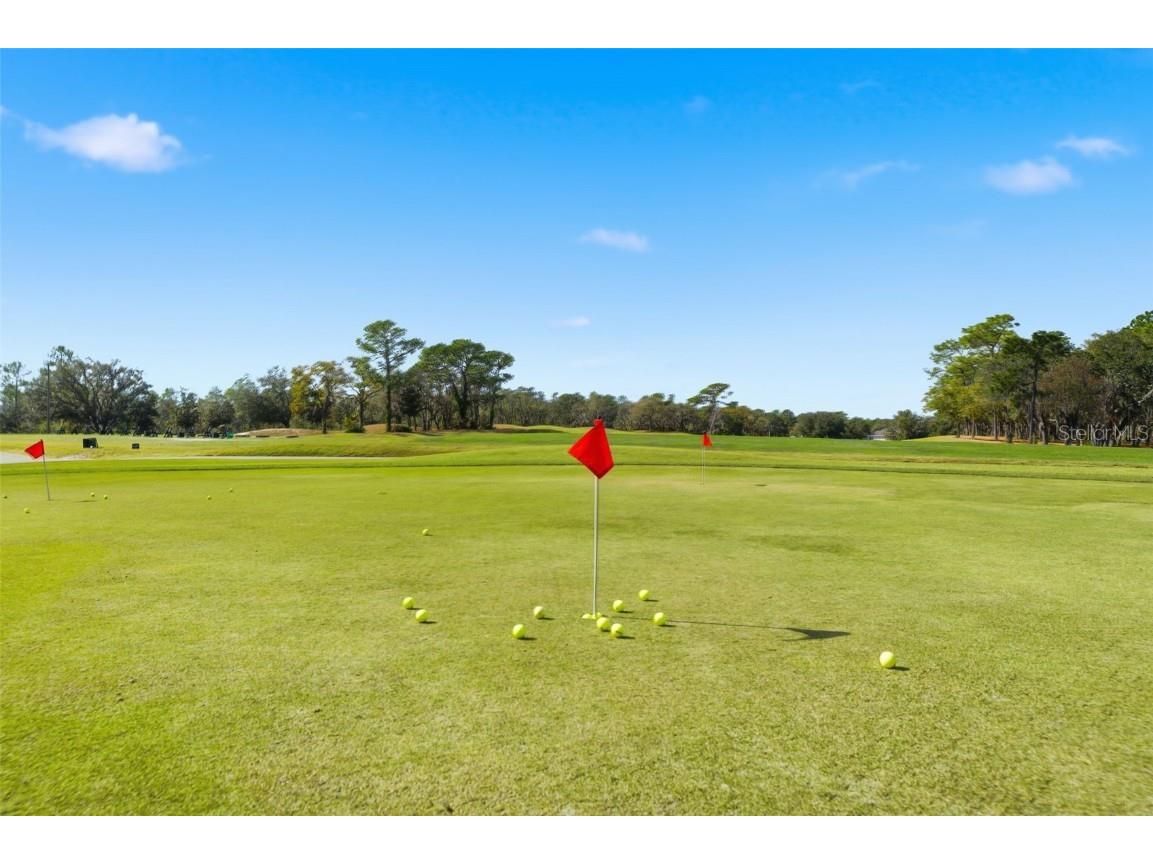 19 Poplar Court S Homosassa FL 34446 TB8454317 image61