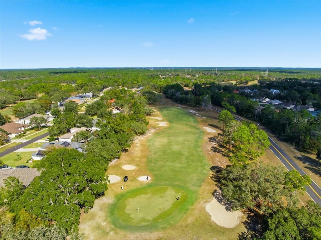 19 Poplar Court S Homosassa FL 34446 TB8454317 image65