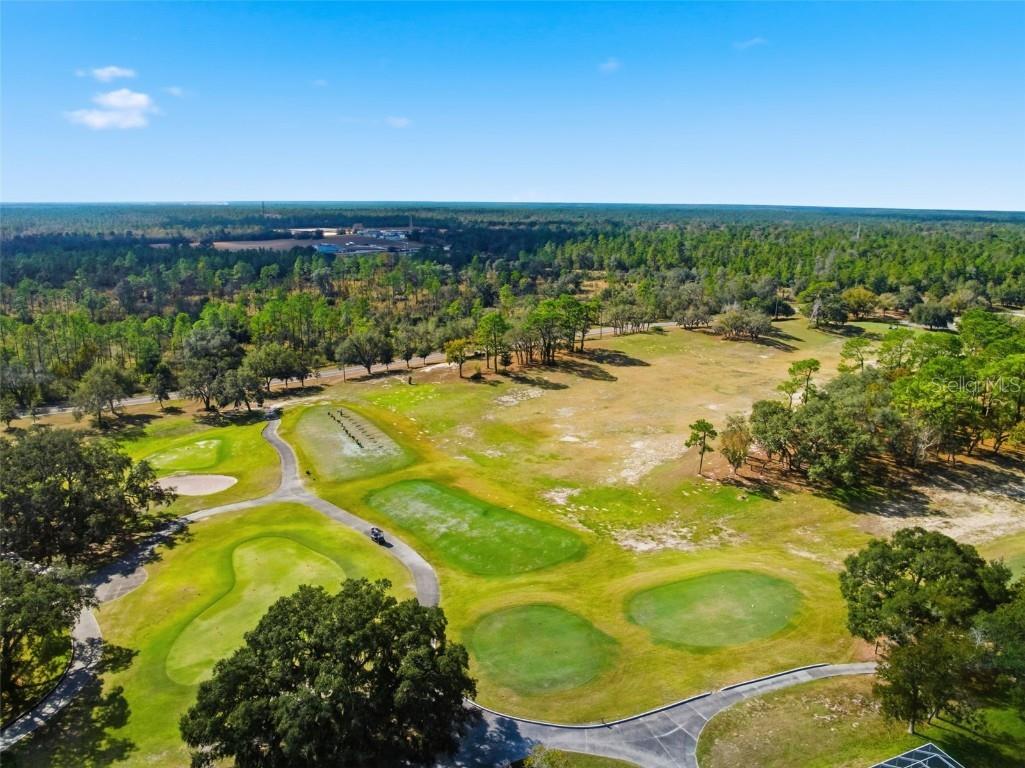 19 Poplar Court S Homosassa FL 34446 TB8454317 image67