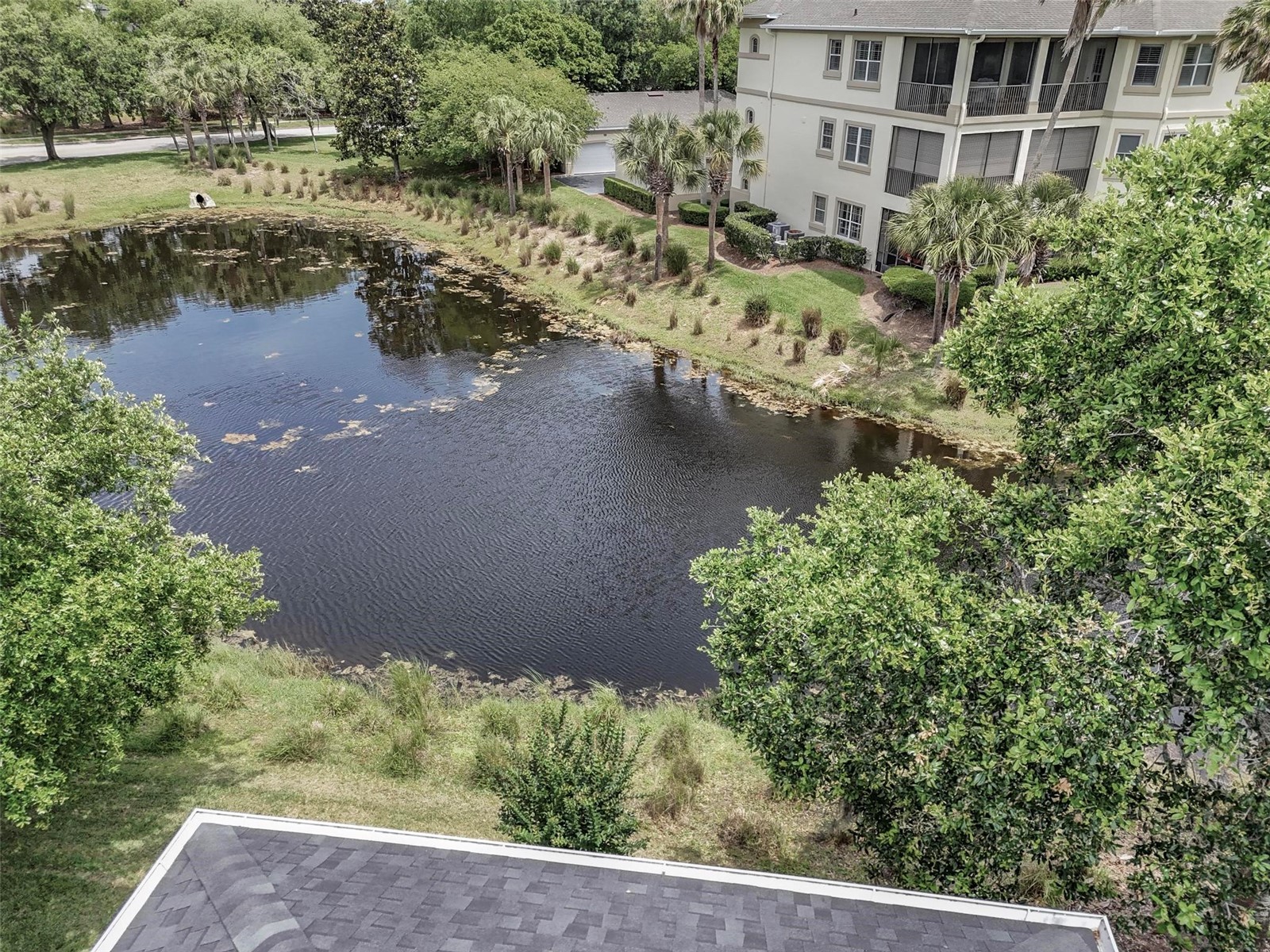 19 River Landing Drive Palm Coast FL 32137 FC318374 image51