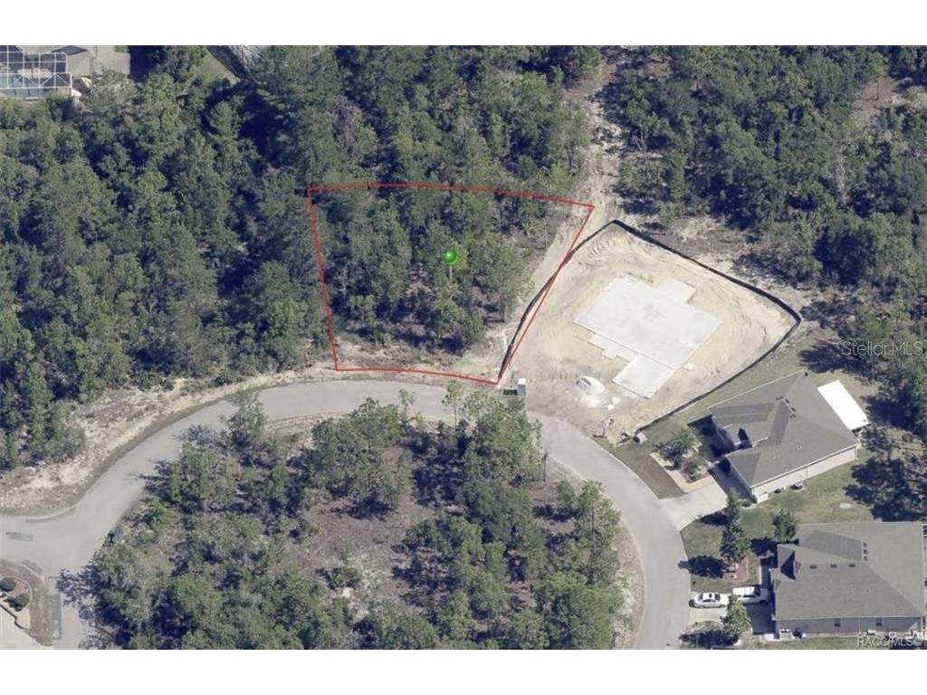 19 Rudbeckia Court Homosassa FL 34446 OM702366 image1