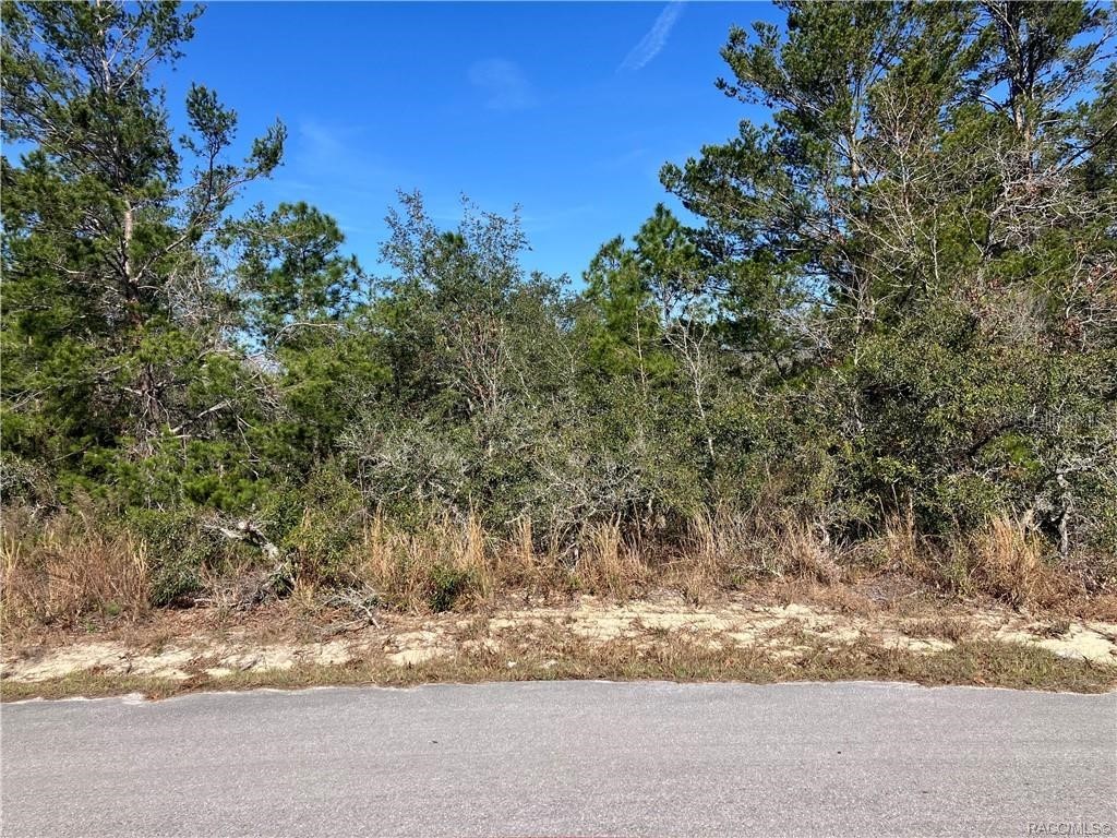 19 Rudbeckia Court Homosassa FL 34446 OM702366 image2