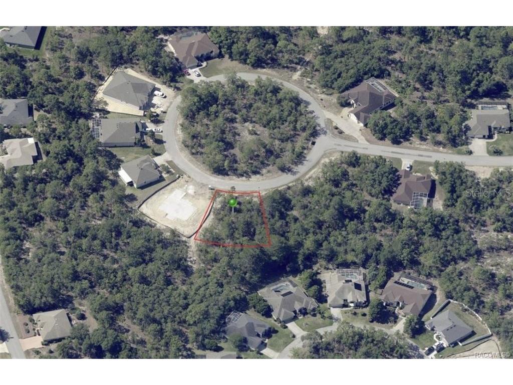 19 Rudbeckia Court Homosassa FL 34446 OM702366 image3