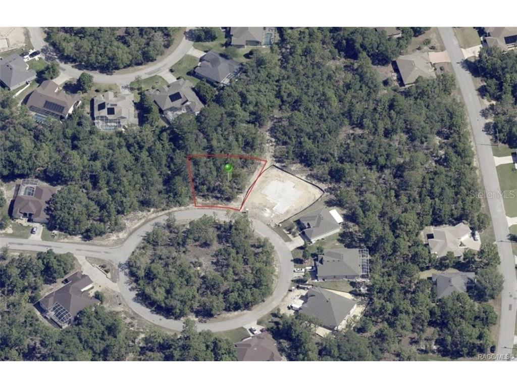 19 Rudbeckia Court Homosassa FL 34446 OM702366 image4