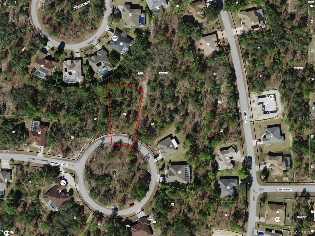 19 Rudbeckia Court Homosassa FL 34446 OM702366 image7