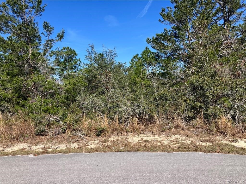 19 Rudbeckia Court Homosassa FL 34446 OM702366 image8