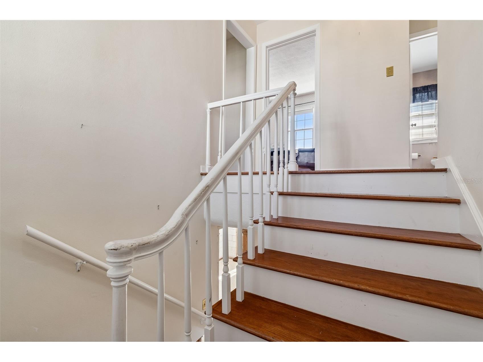 19 Sandpiper Road Tampa FL 33609 TB8481776 image29