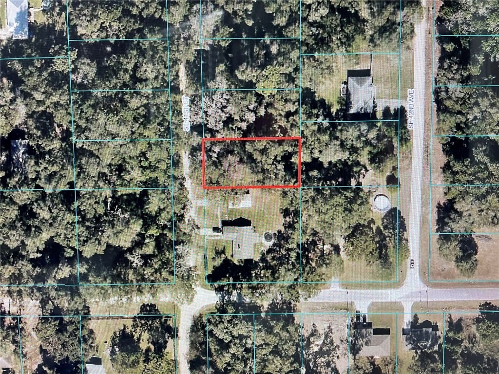 19 SE 41 Court Belleview FL 34420 OM659063 image1