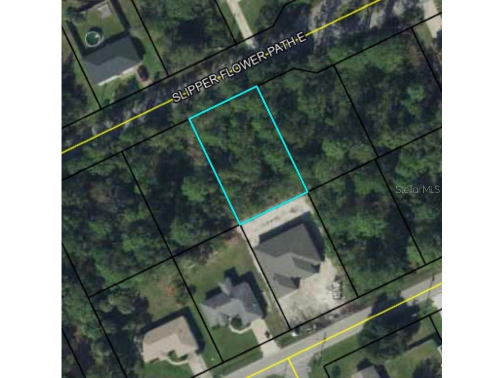 19 Slipper Flower Path E Palm Coast FL 32164 OK222510 image1