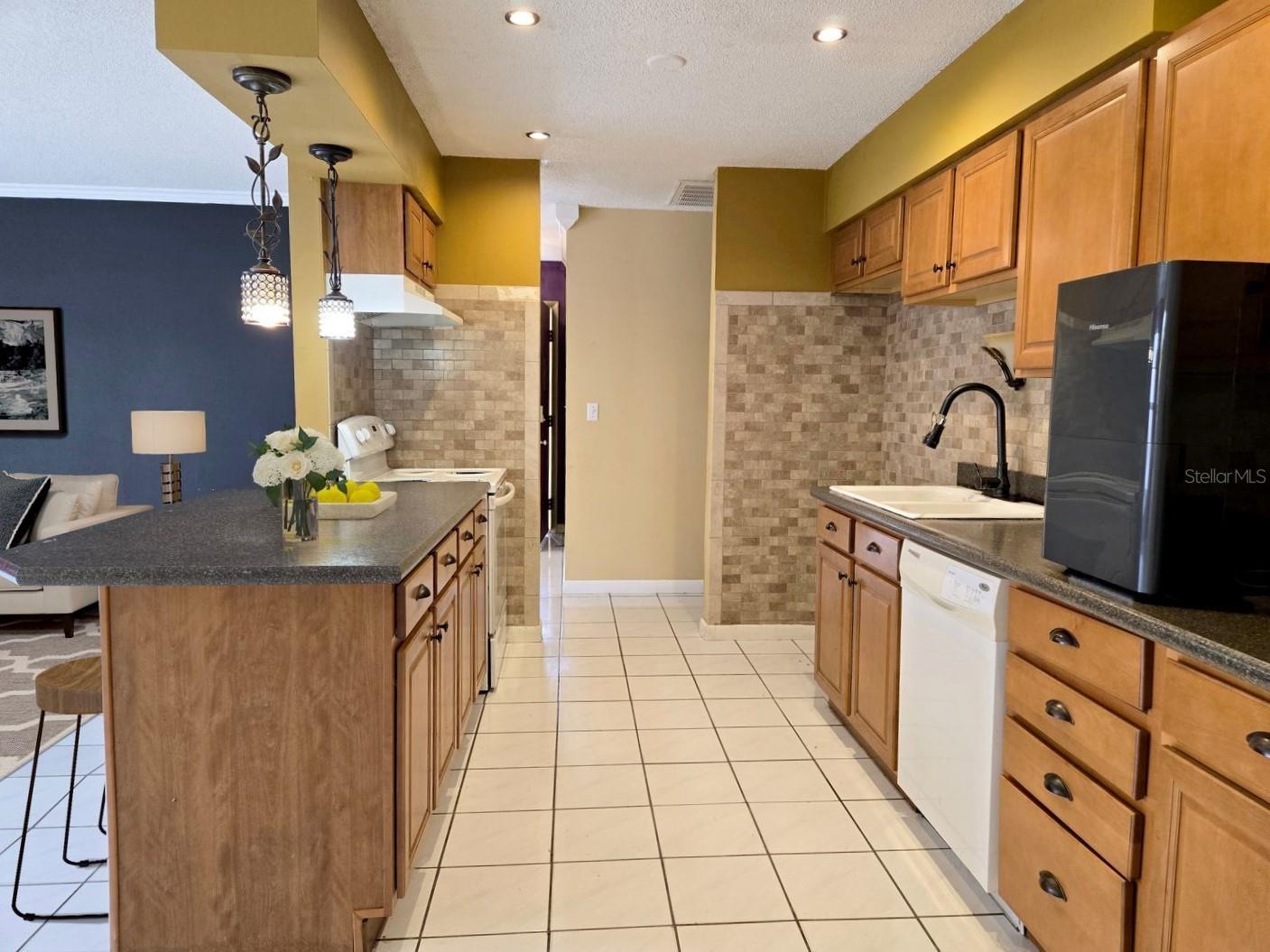 19 Spring Dr Place Ocala FL 34472 OM725214 image6