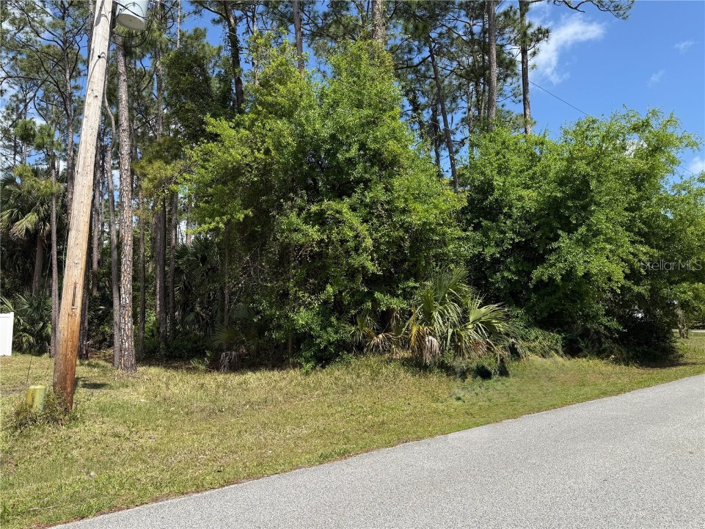 19 Wasserman Drive Palm Coast FL 32164 FC308873 image2
